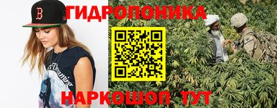 дмт Новодвинск