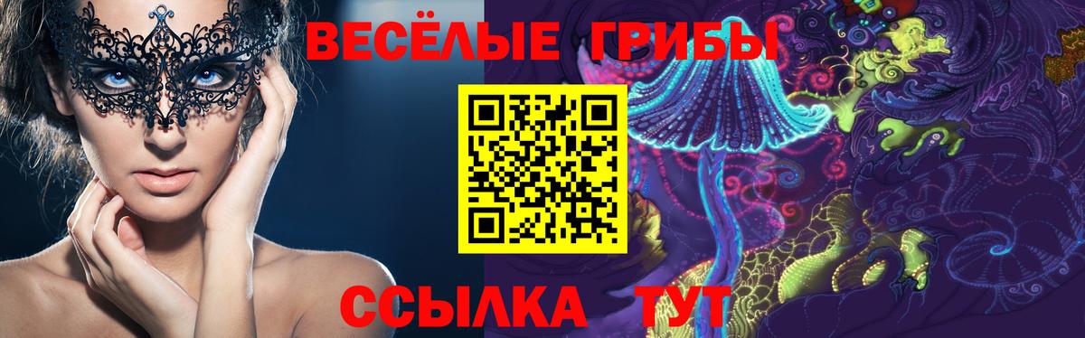 Псилоцибиновые грибы прущие грибы Урай